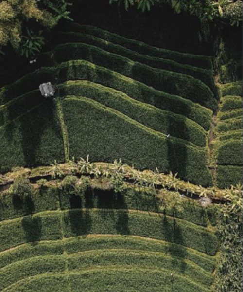 sustainability-sunham-page